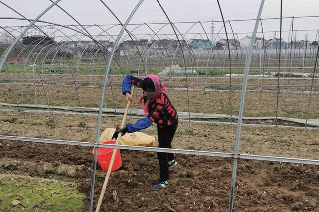 åäº¬å¸ç§£éµè¡éï¼éå³°ç§æ¤æå¸åºï¼æ±å®ç¾ååç»½æ¾