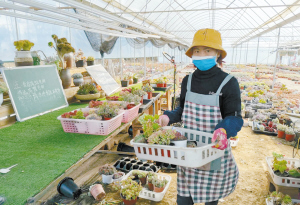 ææå¸æå®åºå¤èç§æ¤è§æ¨¡å¢è³è¿ä¸äº©