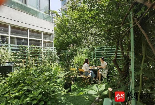 90后女租客种植60多种花木，3年打造了一座“网红”花园