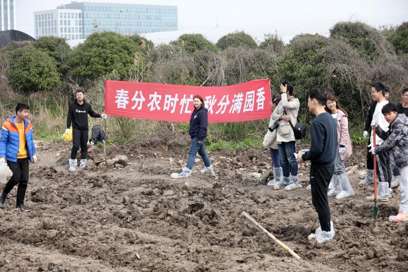 上海交大的大学生下地务农，订“责任田”种西红柿、葡萄，这是不可能的事(图1)